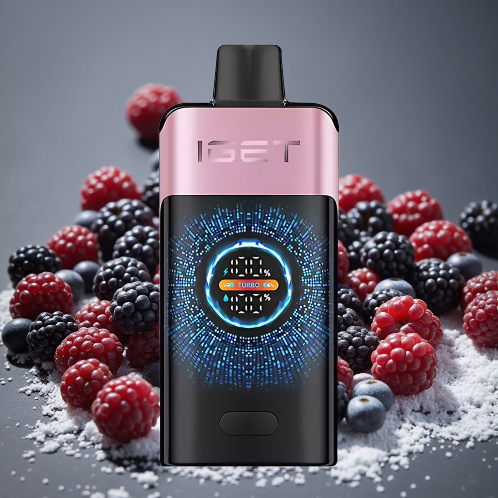 IGET ONE 12000 Puffs Disposable Vape Blackberry Ice 2700mAh Battery 0.6ohm Dual Mesh