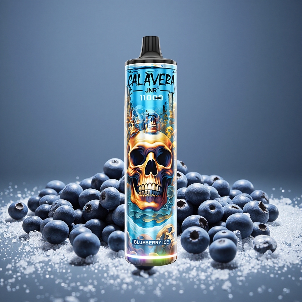 JNR Calavera 11000 Puffs Blueberry Ice Disposable Vape with 850mAh Battery 21ml E-liquid Charging 1.0ohm Mesh Coil