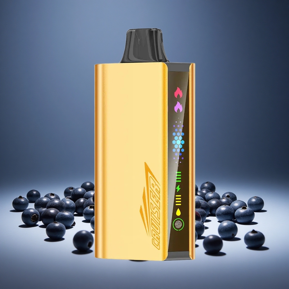 JNR Cruiser 12000 Puffs Blueberry Blast No-Charge Disposable Vape 3500mAh Battery 25ml E-liquid 1.2ohm Dual Mesh