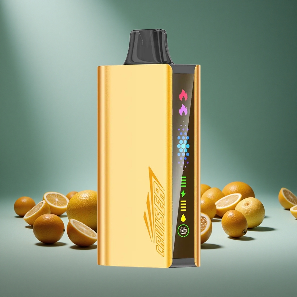 JNR Cruiser 12000 Puffs Cool Mint No-Charge Disposable Vape with 3500mAh Battery 25ml E-liquid 1.2ohm Dual Mesh