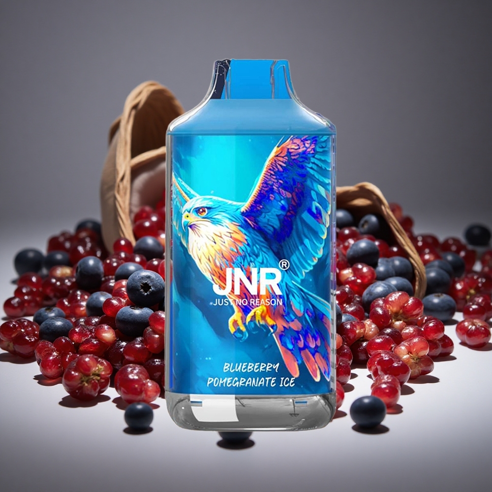 JNR Falcon 16000 Puffs Blueberry Pomegranate Ice 22ml E-liquid 850mAh Battery Type C LED Display 0%/2% Nicotine