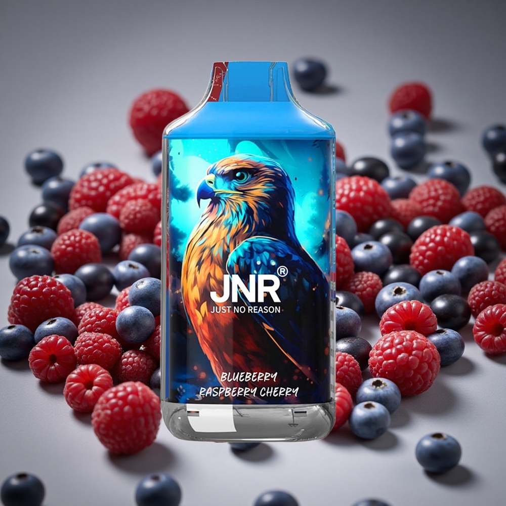 JNR Falcon 16000 Puffs Blueberry Raspberry Cherry 850mAh Battery 22ml E-liquid Dual Mesh Coil