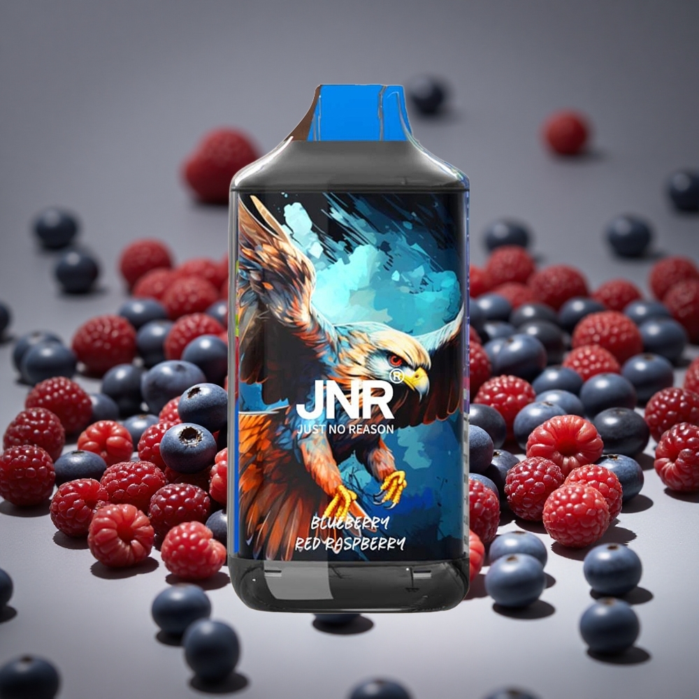 JNR Falcon 16000 Puffs Blueberry Red Raspberry 850mAh Battery 22ml E-liquid Dual Mesh Coil Type C & Lightning