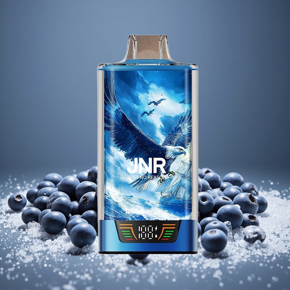 JNR Falcon Pro 28000 Puffs Blueberry Ice 30ml E-liquid 5% Nicotine Smart Display Dual Mesh USB-C
