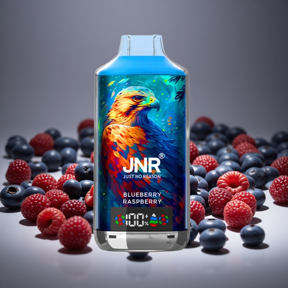 JNR Falcon X 18000 Puffs Blueberry Raspberry 24ml E-liquid 750mAh Battery Dual Mesh Type-C Charge 0%/2%/5% Nicotine