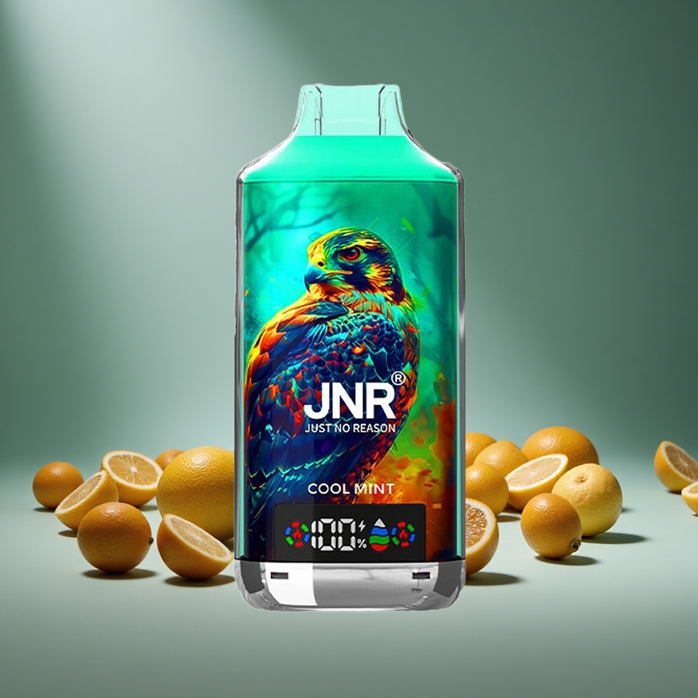 JNR Falcon X 18000 Puffs Cool Mint 24ml E-liquid 750mAh Battery Dual Mesh Coil Type-C Charge 0%/2%/5% Nicotine