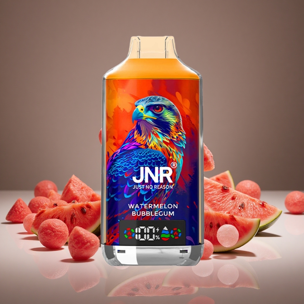 JNR Falcon X 18000 Puffs Watermelon Bubblegum 750mAh Battery 24ml E-liquid Dual Mesh Coil Type-C Charge