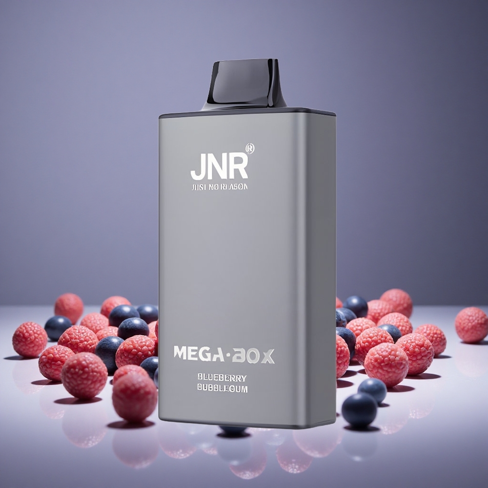 JNR Mega Box 25000 Puffs Blueberry Bubblegum 30ml E-liquid 850mAh Battery Type-C Charge