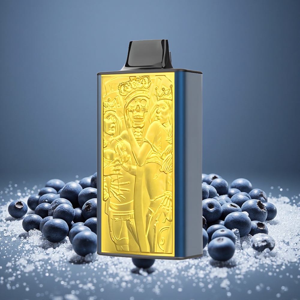 JNR Mega Box 25000 Puffs Blueberry Ice 30ml E-liquid 850mAh Battery Dual Mesh Type-C Charge