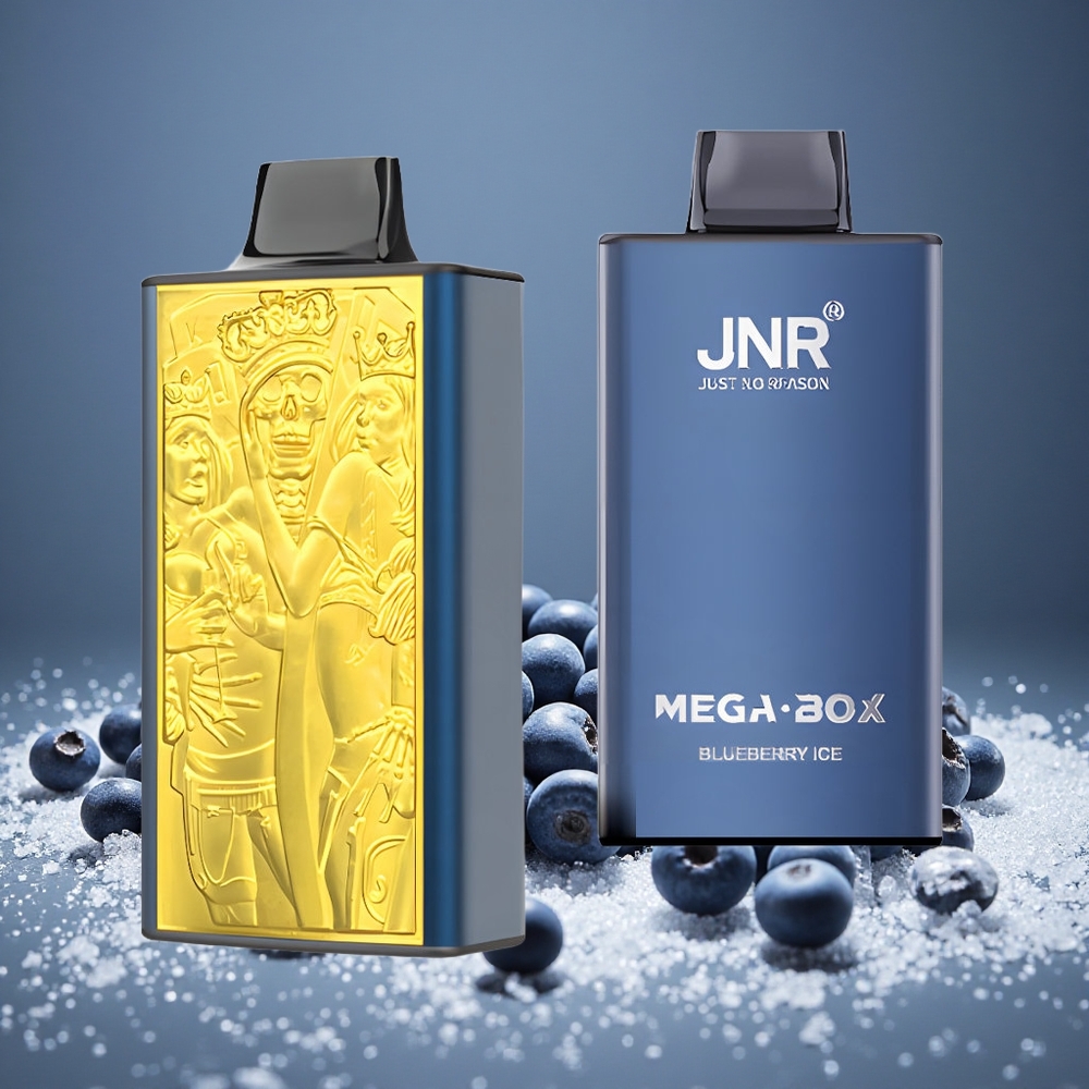 JNR Mega Box 25000 Puffs Blueberry Ice 30ml E-liquid 850mAh Battery Dual Mesh Type-C Charge