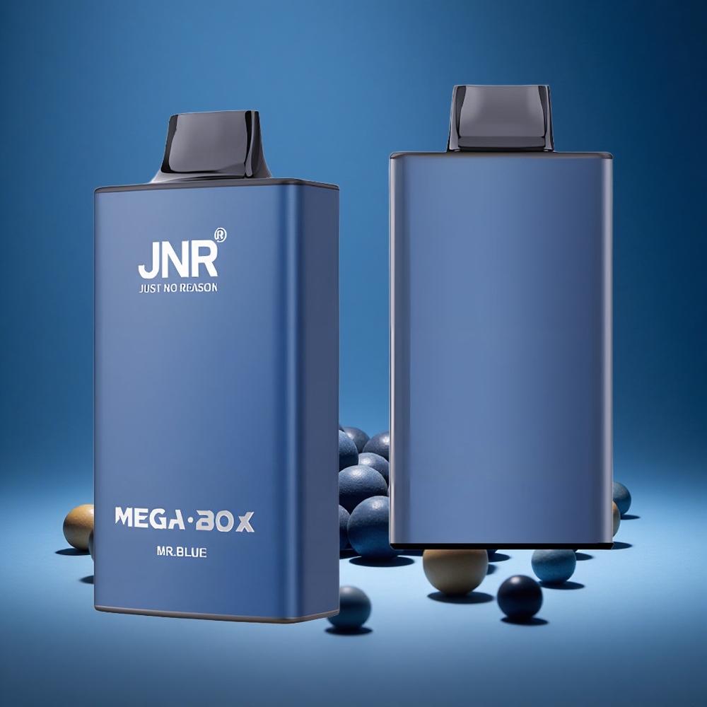 JNR Mega Box 25000 Puffs Mr Blue 30ml E-liquid 850mAh Battery Dual Mesh Type-C Charge