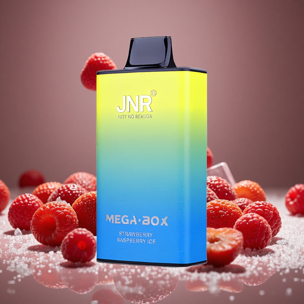 JNR Mega Box 25000 Puffs Strawberry Raspberry Ice Disposable Vape 30ml E-liquid 850mAh Battery Dual Mesh Coil Type-C Charge