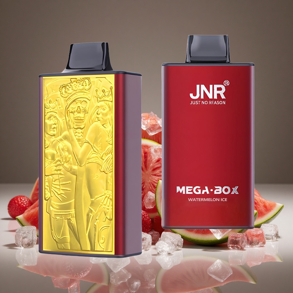 JNR Mega Box 25000 Puffs Watermelon Ice 30ml E-liquid 850mAh Battery Dual Mesh Type-C Charge