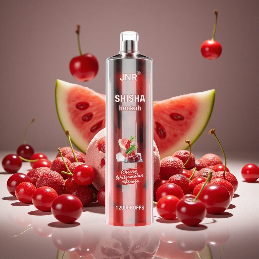 JNR Shisha Hookah 12000 Puffs 24ml E-liquid 750mAh Battery Type-C Charge Cherry Watermelon Freeze