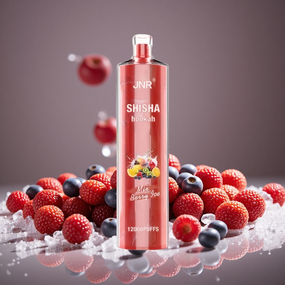 JNR Shisha Hookah 12000 Puffs Berry Ice 24ml E-liquid 750mAh Battery Type-C Charge 0.6 Ohm