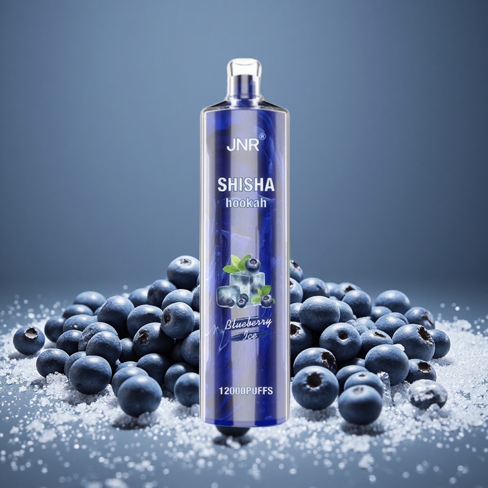 JNR Shisha Hookah 12000 Puffs Blueberry Ice 750mAh Battery 24ml E-liquid 0.6 Ohm Type-C Charge