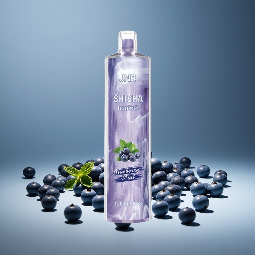 JNR Shisha Hookah 12000 Puffs Blueberry Mint 750mAh Battery 24ml E-liquid 0.6 Ohm