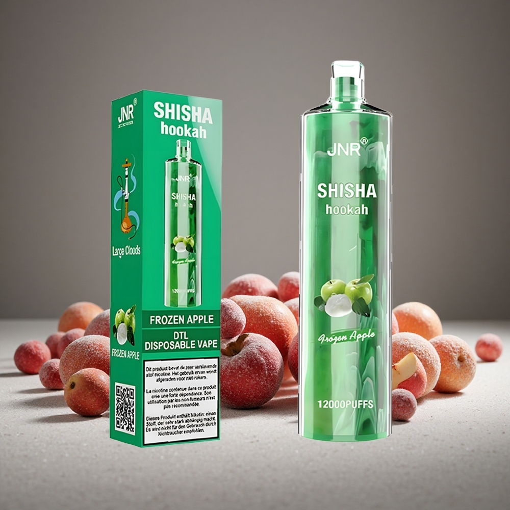JNR Shisha Hookah 12000 Puffs Frozen Apple 24ml E-liquid 750mAh Battery Type-C Charge