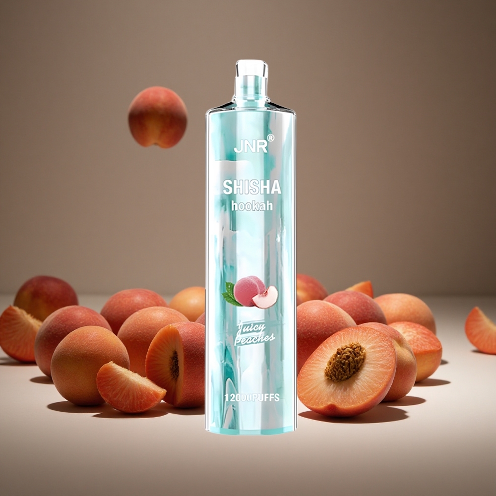JNR Shisha Hookah 12000 Puffs Juicy Peaches 24ml E-liquid 750mAh Battery Type-C Charge 0.6 Ohm Mesh