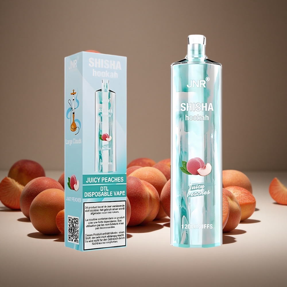 JNR Shisha Hookah 12000 Puffs Juicy Peaches 24ml E-liquid 750mAh Battery Type-C Charge 0.6 Ohm Mesh