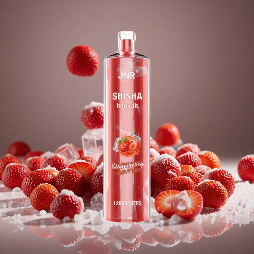 JNR Shisha Hookah 12000 Puffs Strawberry Ice Disposable Vape 24ml E-liquid 750mAh Battery Type-C Charge