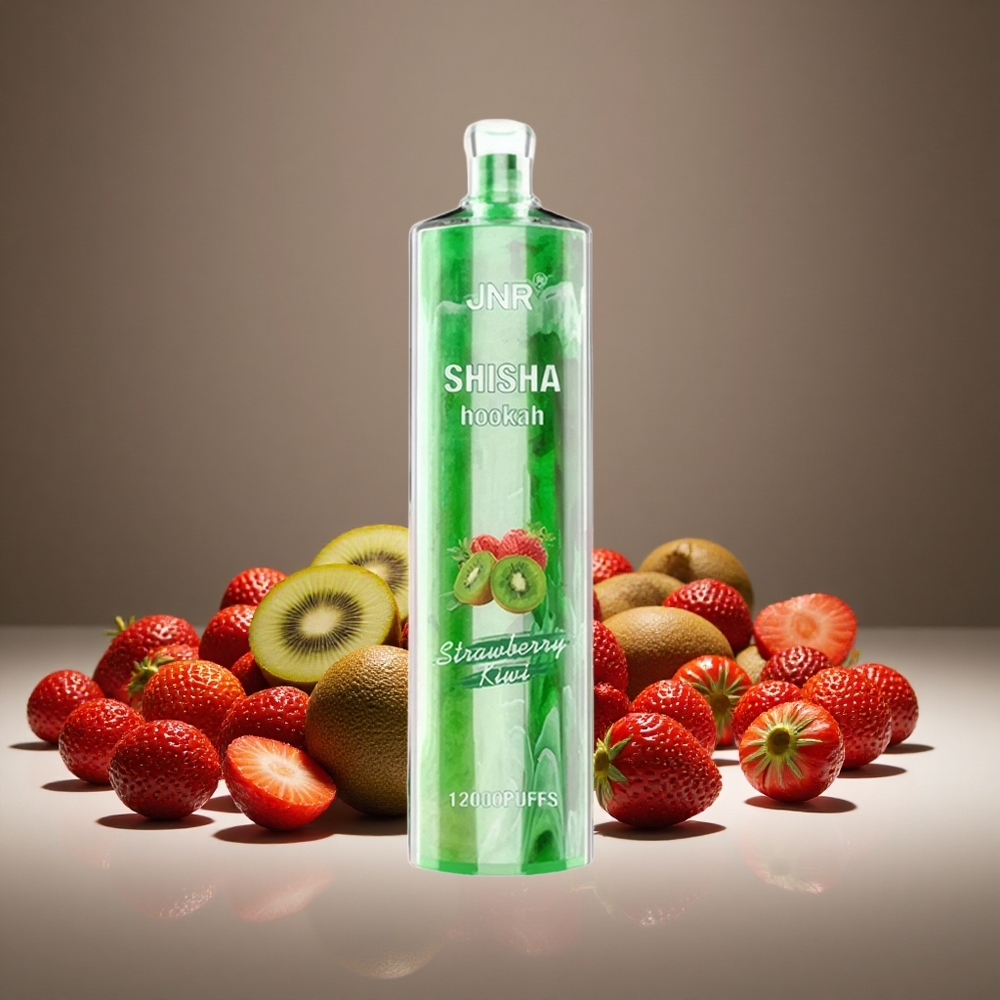 JNR Shisha Hookah 12000 Puffs Strawberry Kiwi 24ml E-liquid 750mAh Battery Type-C Charge