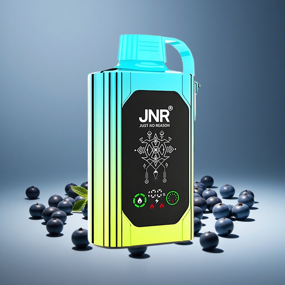 JNR Shisha Hookah Box 20500 Puffs Blueberry Mint HD Display 1000mAh Battery 25ml E-liquid Dual Mesh Coil